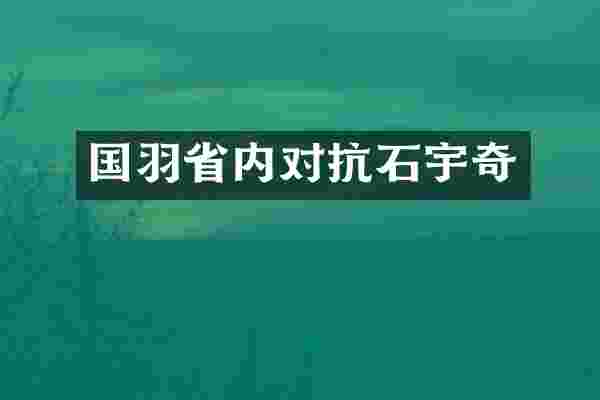 国羽省内对抗石宇奇