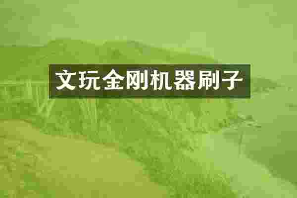 文玩金刚机器刷子