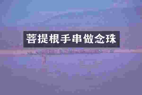 菩提根手串做念珠