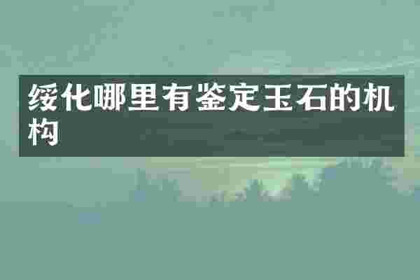 绥化哪里有鉴定玉石的机构