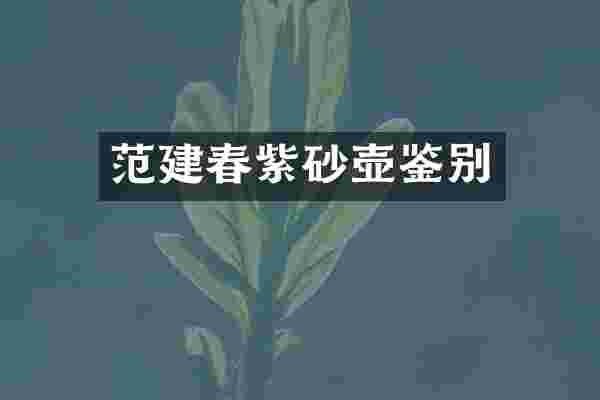 范建春紫砂壶鉴别