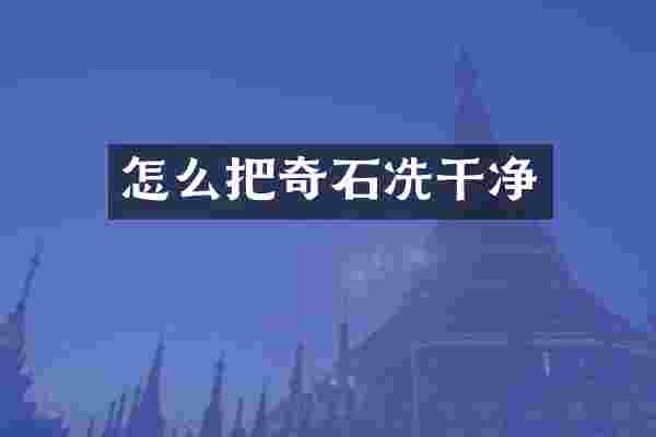怎么把奇石冼干净