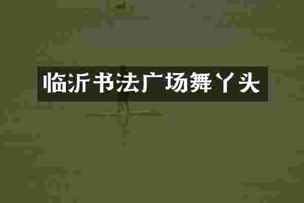 临沂书法广场舞丫头
