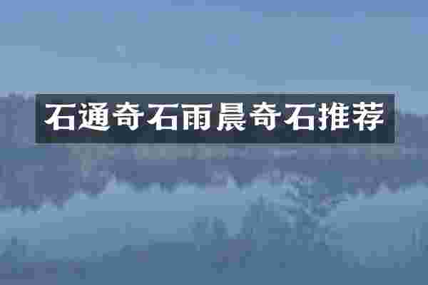 石通奇石雨晨奇石推荐