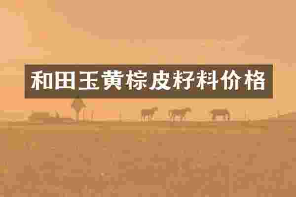 和田玉黄棕皮籽料价格