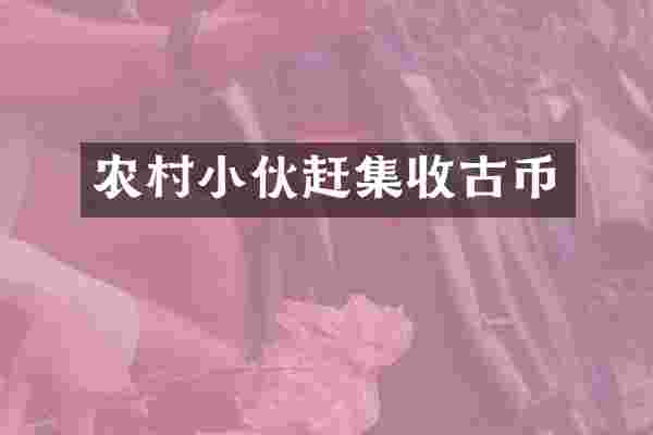 农村小伙赶集收古币