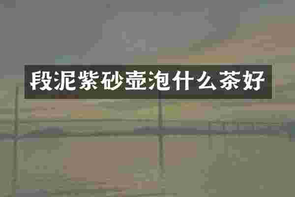 段泥紫砂壶泡什么茶好