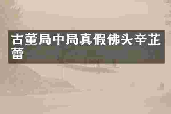 古董局中局真假佛头辛芷蕾