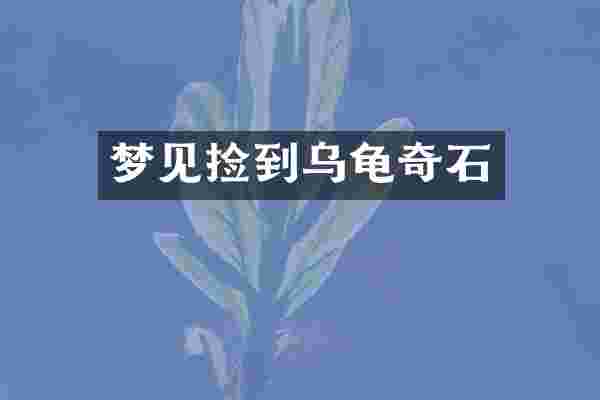 梦见捡到乌龟奇石