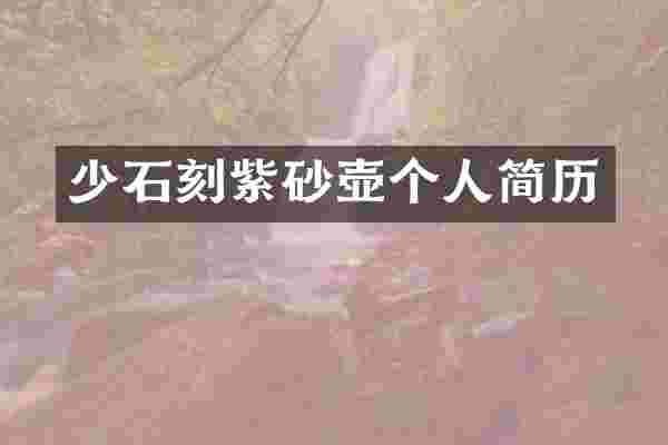 少石刻紫砂壶个人简历