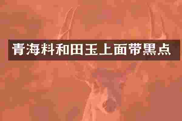 青海料和田玉上面带黑点