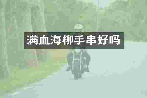 满血海柳手串好吗
