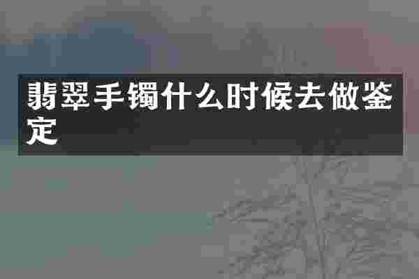 翡翠手镯什么时候去做鉴定