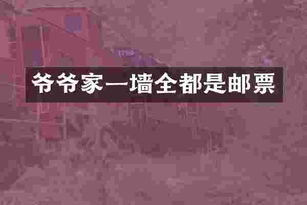 爷爷家一墙全都是邮票
