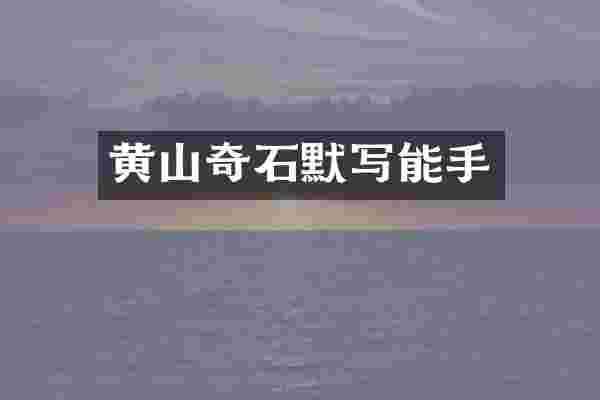 黄山奇石默写能手
