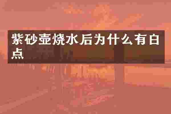 紫砂壶烧水后为什么有白点