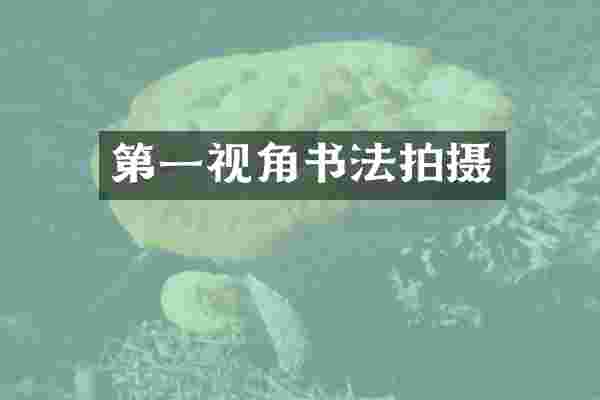 第一视角书法拍摄