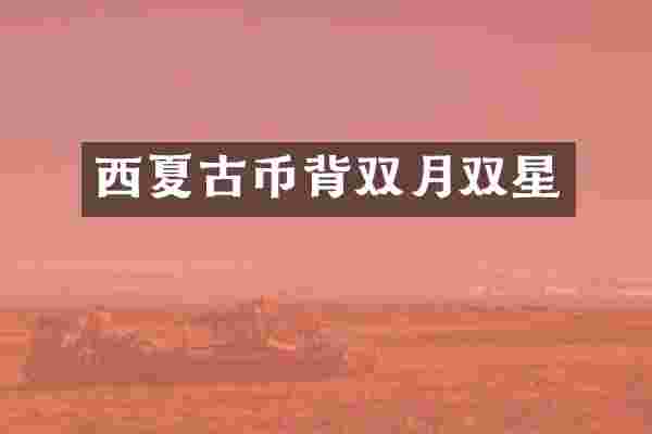 西夏古币背双月双星