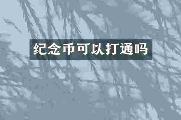 纪念币可以打通吗