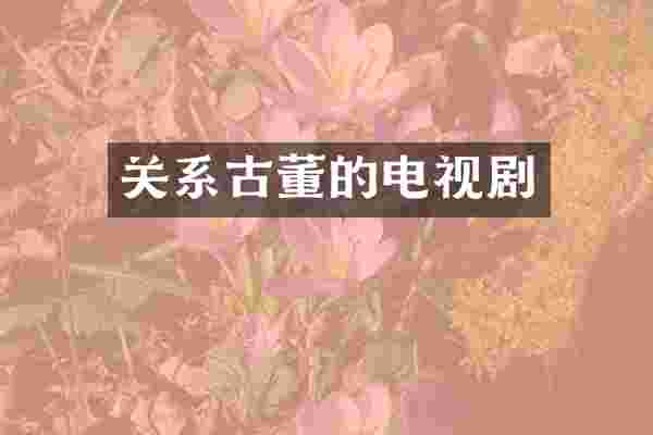 关系古董的电视剧