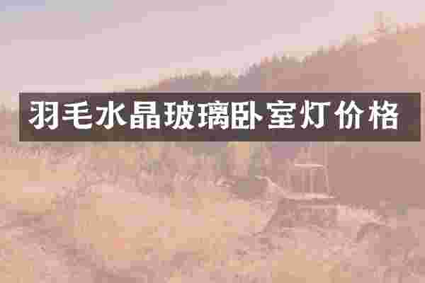 羽毛水晶玻璃卧室灯价格