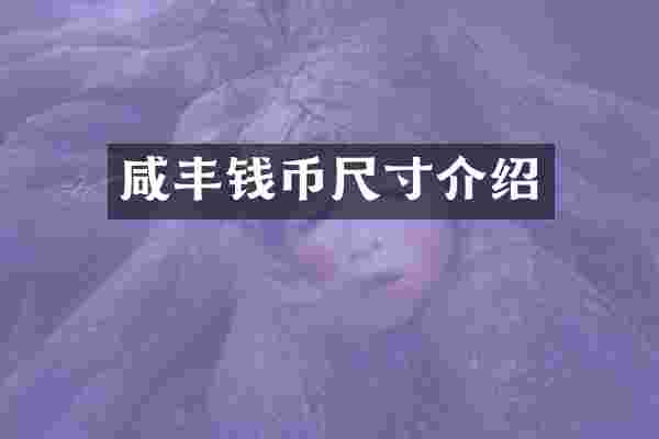 咸丰钱币尺寸介绍