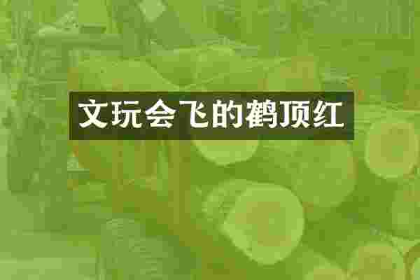 文玩会飞的鹤顶红