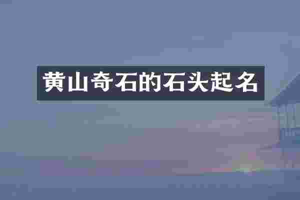 黄山奇石的石头起名