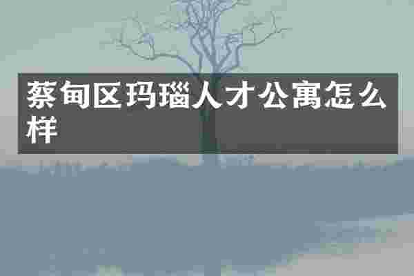 蔡甸区玛瑙人才公寓怎么样
