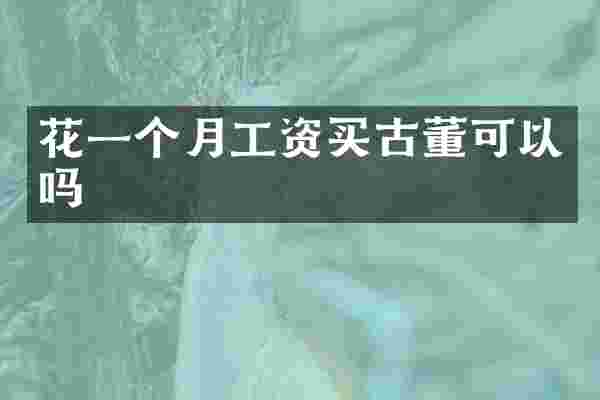 花一个月工资买古董可以吗