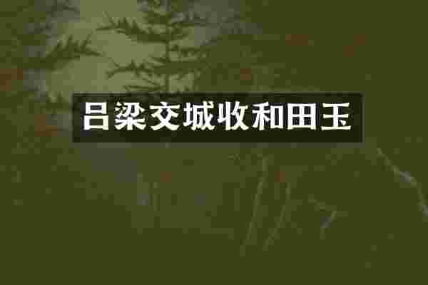 吕梁交城收和田玉