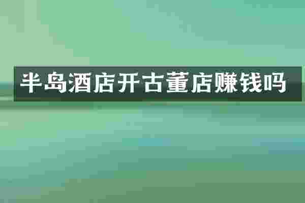 半岛酒店开古董店赚钱吗