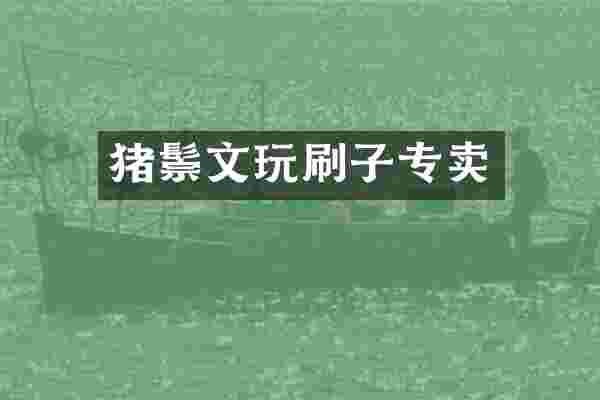 猪鬃文玩刷子专卖