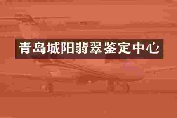 青岛城阳翡翠鉴定中心