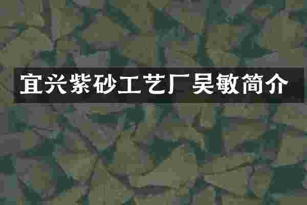 宜兴紫砂工艺厂吴敏简介
