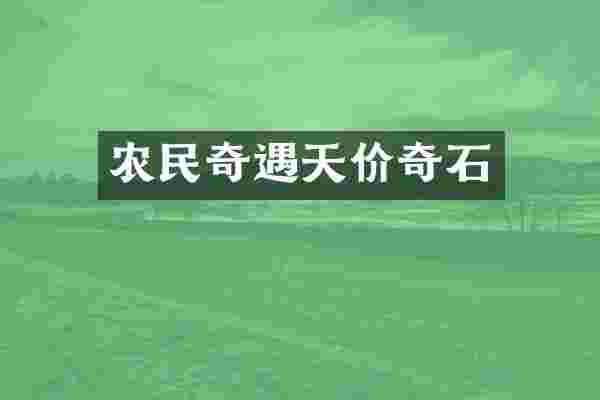 农民奇遇天价奇石