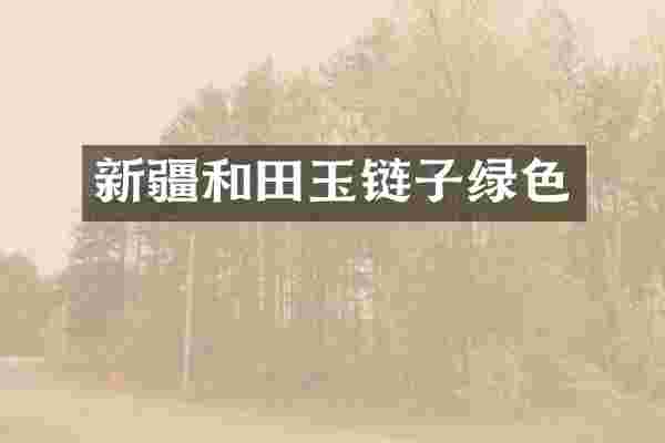 新疆和田玉链子绿色