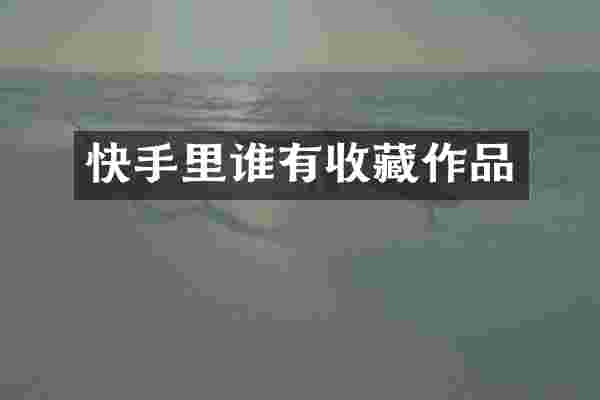快手里谁有收藏作品