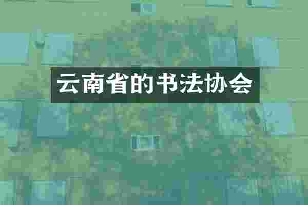 云南省的书法协会