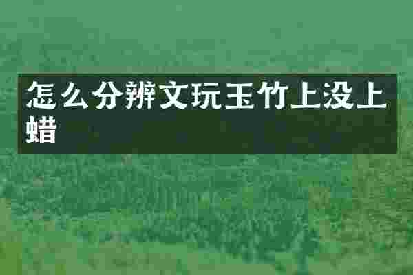 怎么分辨文玩玉竹上没上蜡
