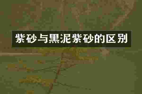 紫砂与黑泥紫砂的区别