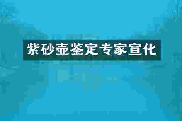 紫砂壶鉴定专家宣化