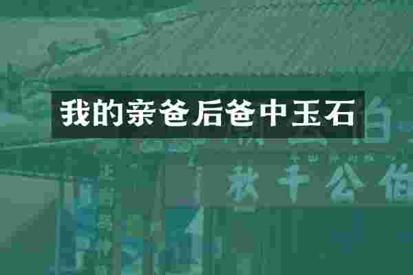 我的亲爸后爸中玉石