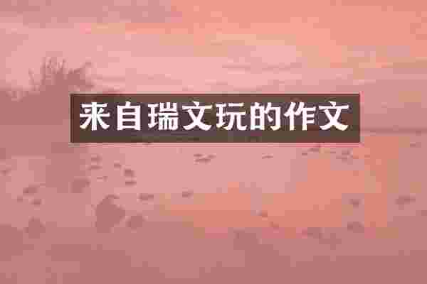 来自瑞文玩的作文