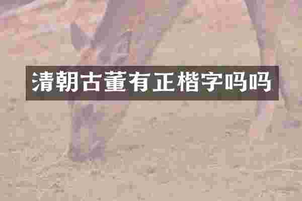 清朝古董有正楷字吗吗