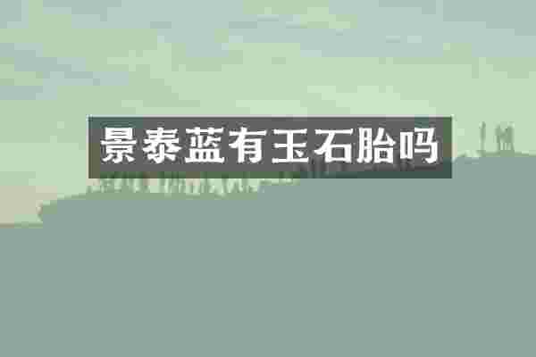景泰蓝有玉石胎吗