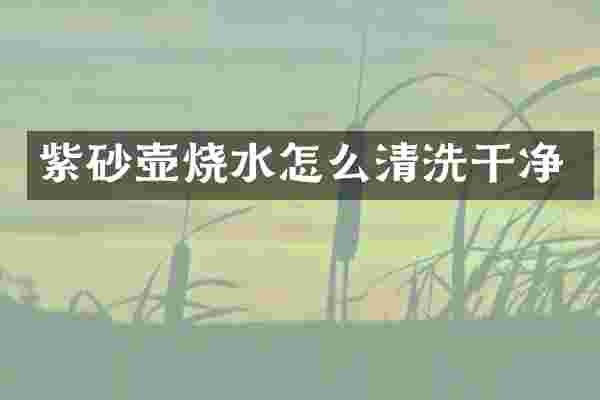 紫砂壶烧水怎么清洗干净