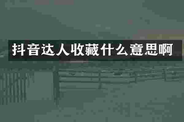 抖音达人收藏什么意思啊