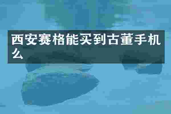 西安赛格能买到古董手机么