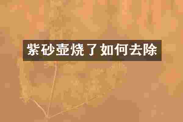 紫砂壶烧了如何去除